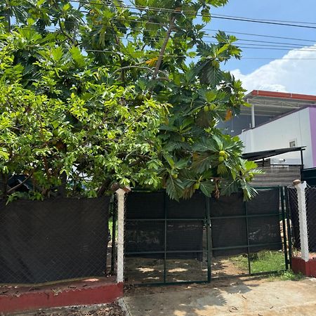 The Lazy Palm Shack Hotel Coimbatore Luaran gambar