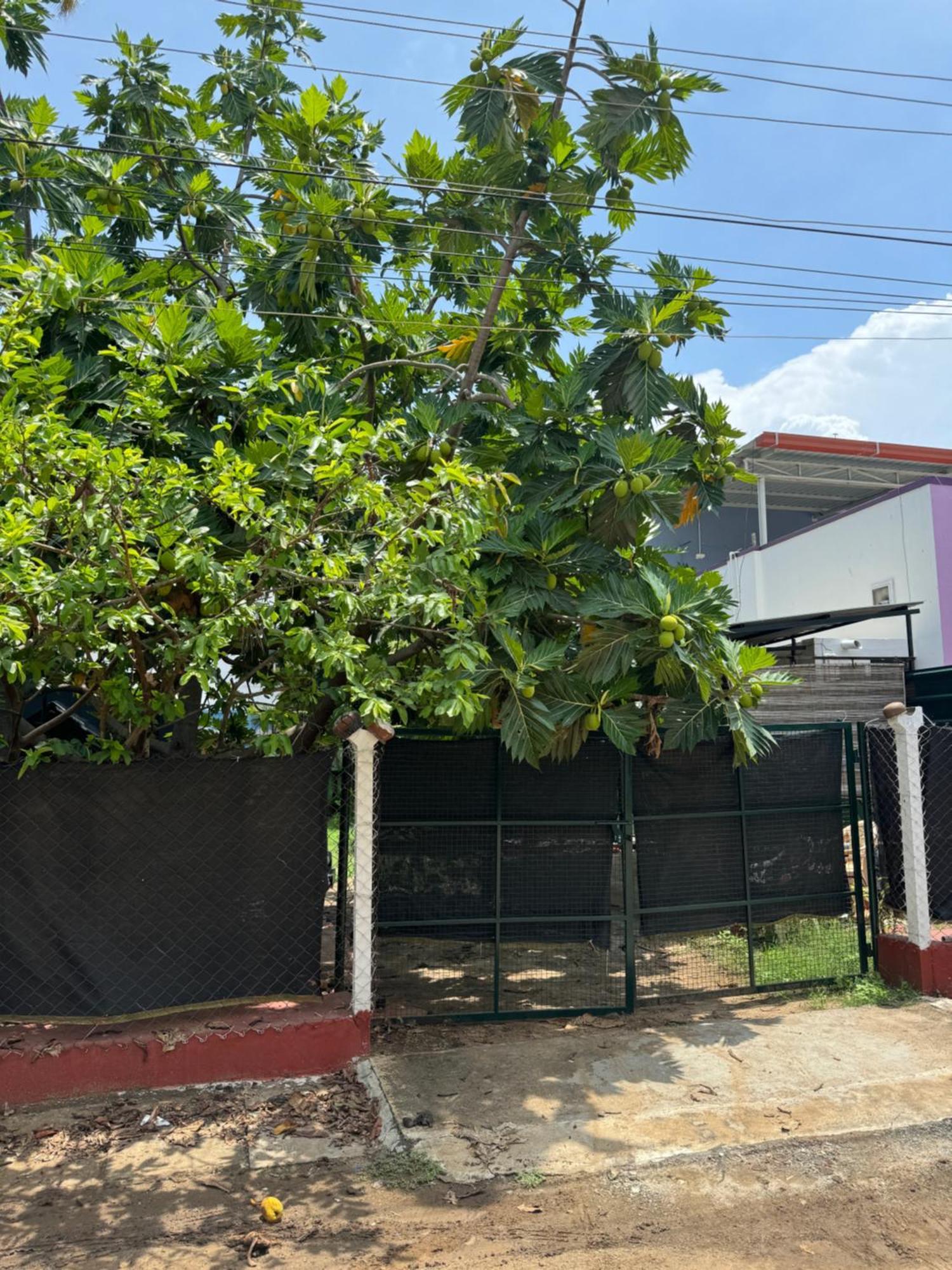 The Lazy Palm Shack Hotel Coimbatore Luaran gambar