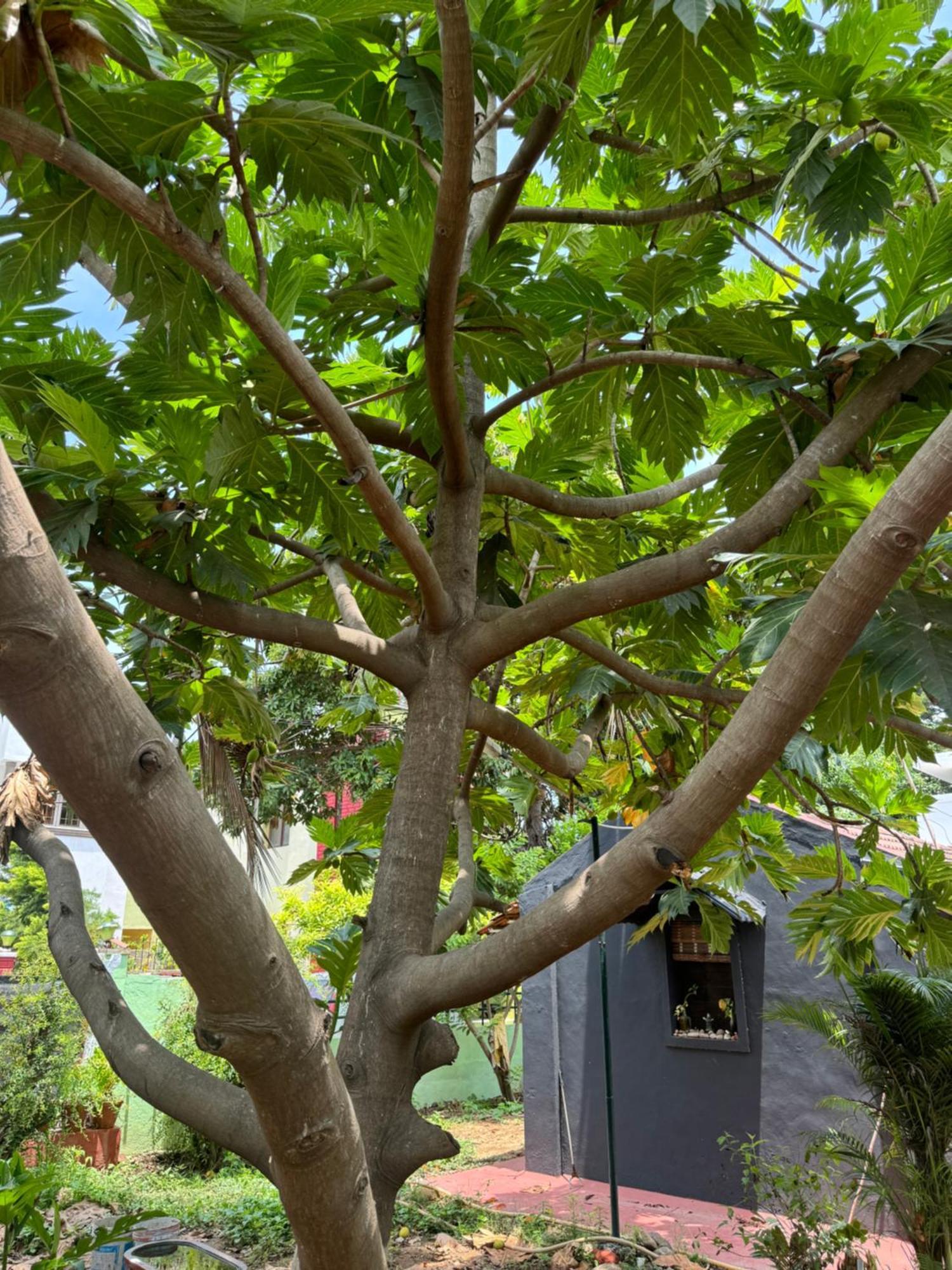 The Lazy Palm Shack Hotel Coimbatore Luaran gambar